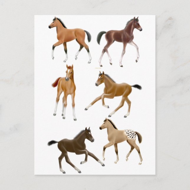 Postal Terneros (Anverso)