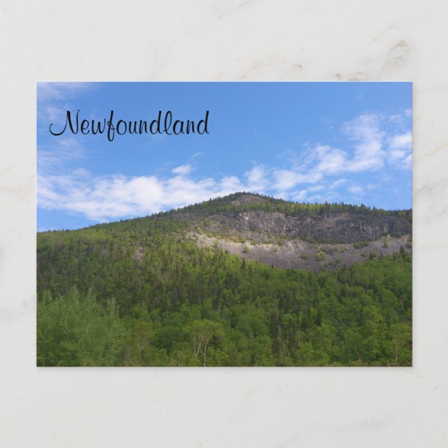 Postal Terranova (Anverso)