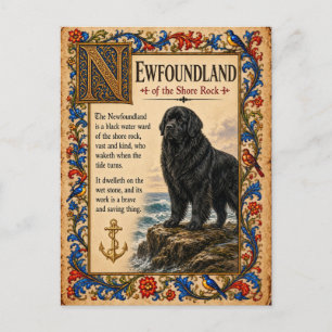 Postal Terranova, Arte Bestiario Medieval