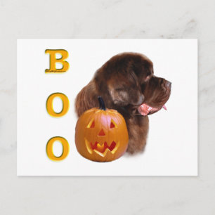 Postal Terranova (brn) Halloween Boo