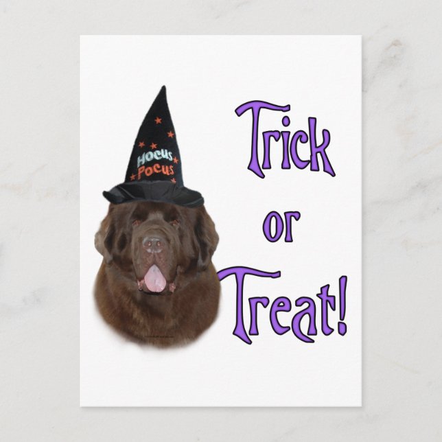 Postal Terranova (marrón) Trick (Anverso)