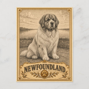Postal Terranova, perro vintage de herencia