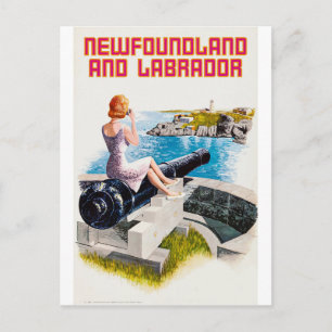 Postal Terranova y Labrador, chica en un arma grande