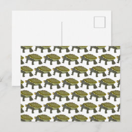 Postal Terrapin (pattern white) - Postcard