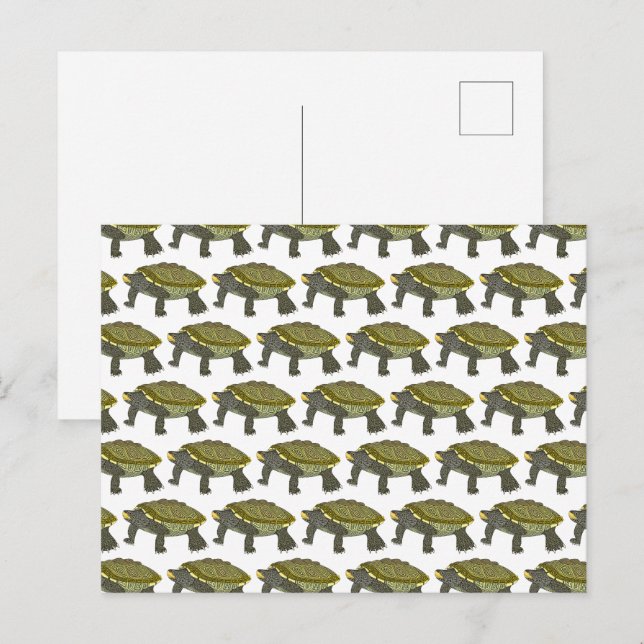 Postal Terrapin (pattern white) - Postcard (Anverso / Reverso)