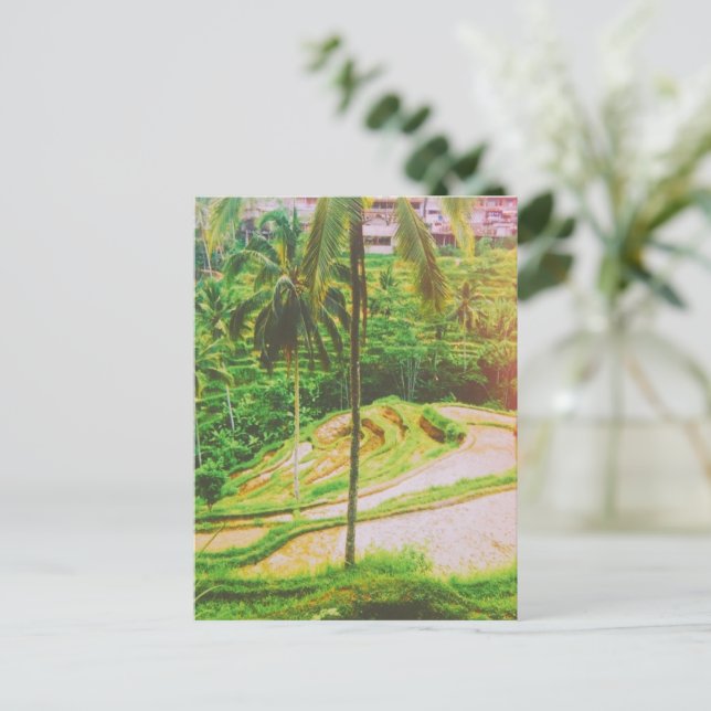 Postal Terraza de arroz Tegalalang - Bali - Indonesia (Anverso de pie)