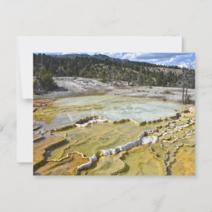 Postal Terraza Lower Minerva, Parque Nacional Yellowstone