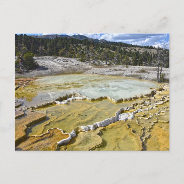 Postal Terraza Lower Minerva, Parque Nacional Yellowstone (Anverso)