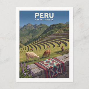 Postal Terrazas Andinas Tradicionales y Llamas Pisac Perú
