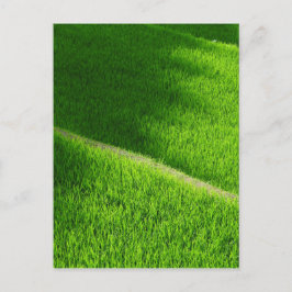 Postal Terrazas de arroz Campos de arroz de Yamada Japón