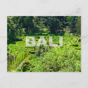 Postal Terrazas de arroz de Bali