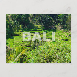 Postal Terrazas de arroz de Bali