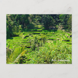 Postal Terrazas de arroz de Bali, Indonesia