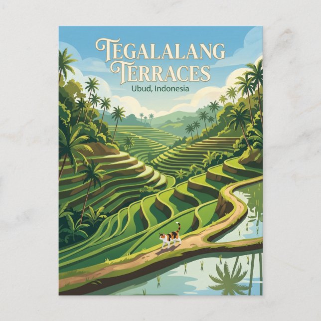 Postal Terrazas de Arroz de Tegalalang Indonesia (Anverso)
