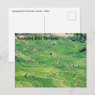 Postal Terrazas de arroz famosas de Yuanyang - Yunnan, Ch
