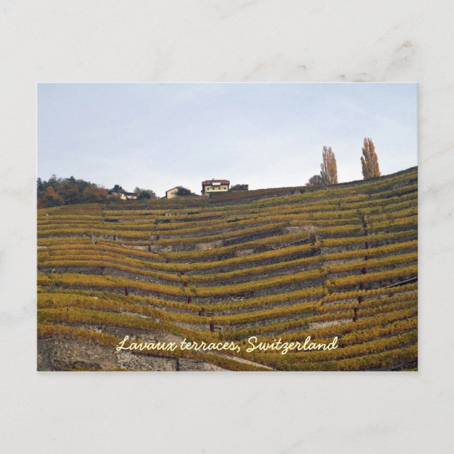 Postal Terrazas de Lavaux (Anverso)