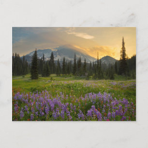 Postal Terreno de caza de Indian Henry al amanecer