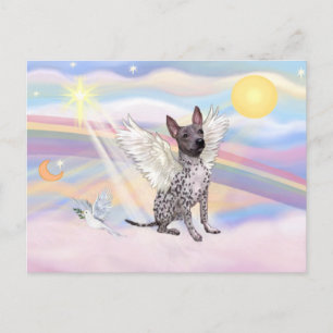 Postal Terrier Americano sin Pelo