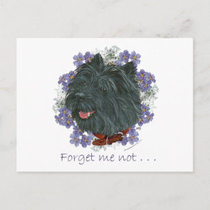 Postal Terrier Black Cairn No me olvides