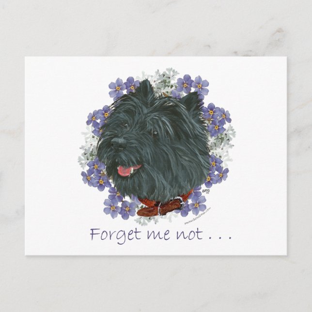 Postal Terrier Black Cairn No me olvides (Anverso)