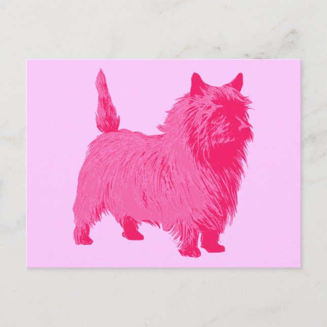 Postal Terrier Cairn Rosa (Anverso)