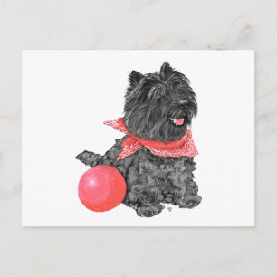 Postal Terrier de Cairn Negro con Pelota