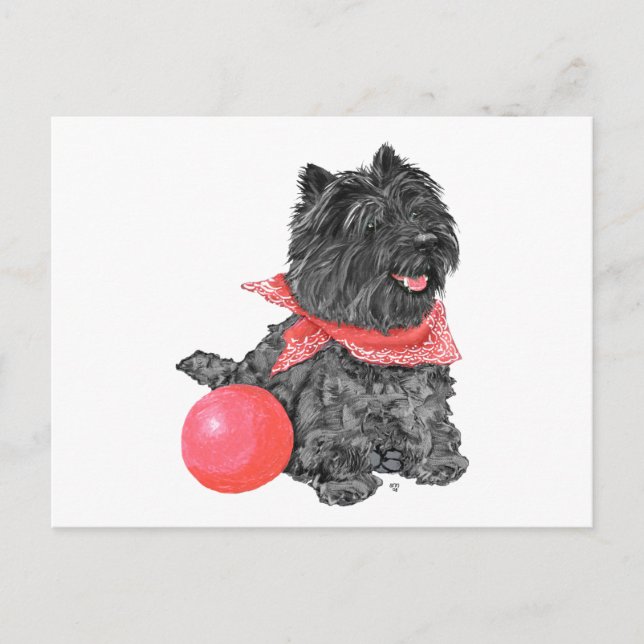 Postal Terrier de Cairn Negro con Pelota (Anverso)