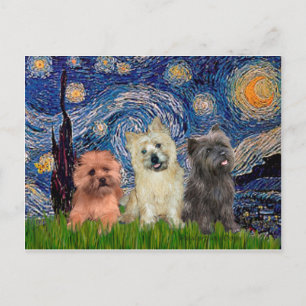 Postal Terrier de Cairn (tres) - Noche estrellada