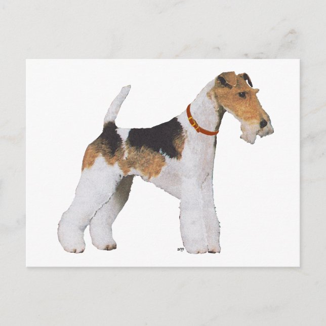 Postal Terrier de Fox de pelo duro (Anverso)