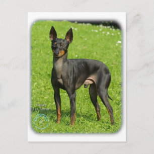 Postal Terrier de Juguetes Inglés 9R78D-77