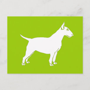 Postal Terrier de toros blancos