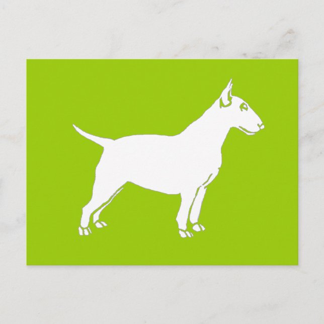 Postal Terrier de toros blancos (Anverso)