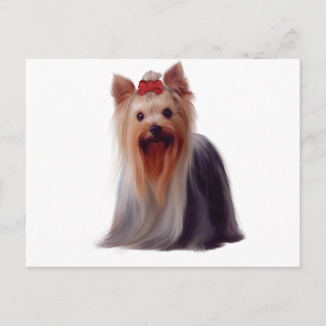 Postal Terrier de Yorkshire (Anverso)