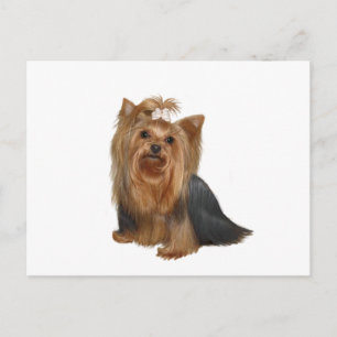 Postal Terrier de Yorkshire (7)