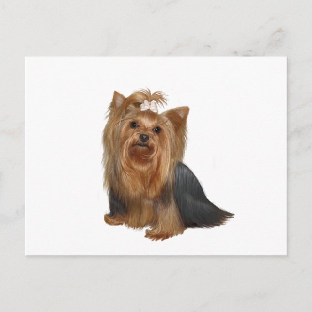 Postal Terrier de Yorkshire (7) (Anverso)