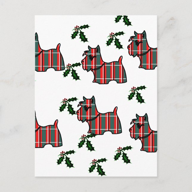 POSTAL TERRIER ESCOCÉS (Anverso)