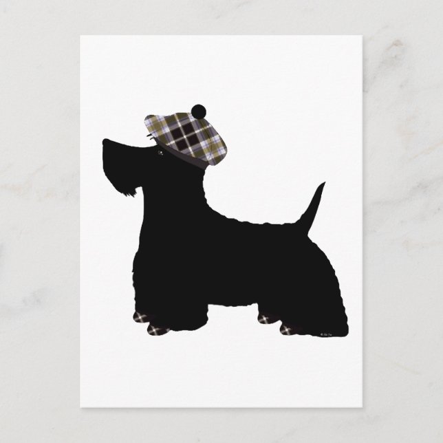 Postal Terrier Escocés (Anverso)