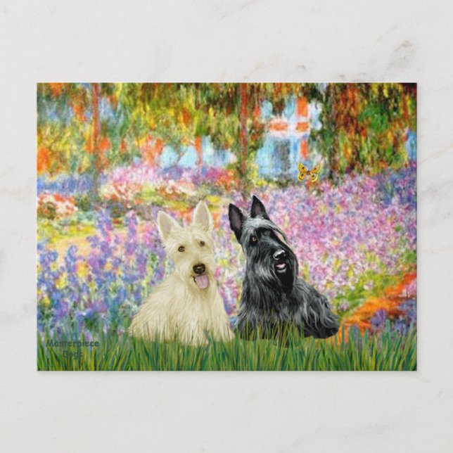 Postal Terrier Escocés (dos BW) - Jardín (Anverso)
