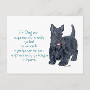 Postal Terrier Escocés Ingenio y Sabiduría - Hablando