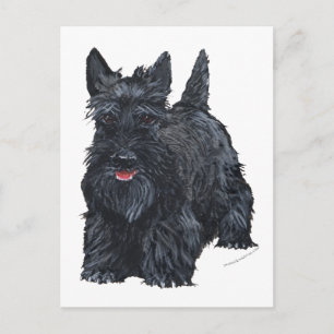 Postal Terrier escocés juguetón