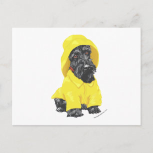 Postal Terrier Escocés Lluvias de Abril