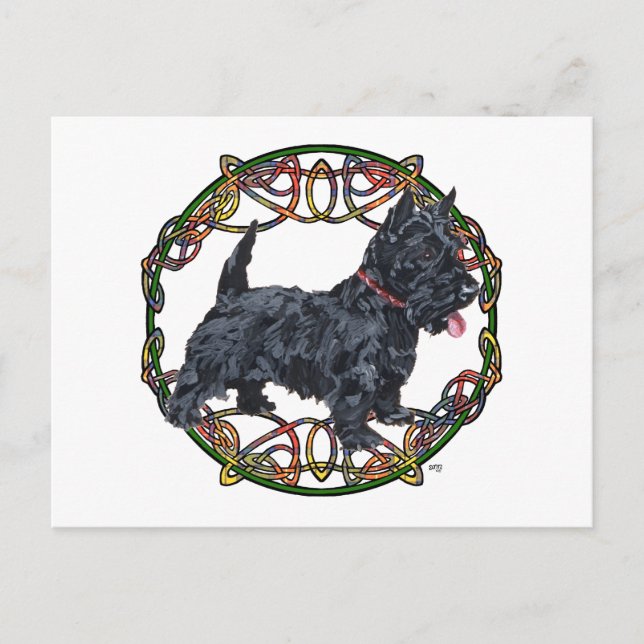 Postal Terrier Escocés Nudo Celta (Anverso)