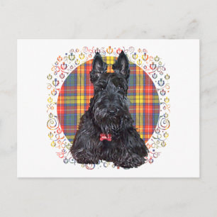 Postal Terrier escocés sobre Plaid Buchanan
