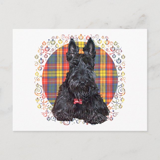 Postal Terrier escocés sobre Plaid Buchanan (Anverso)