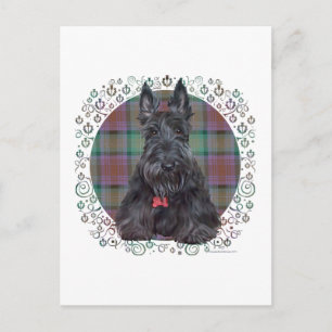 Postal Terrier Escocés sobre Tartán
