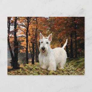 Postal Terrier Escocés Trigo Otoño