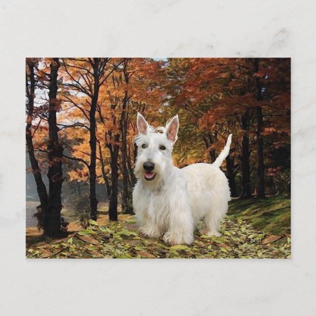 Postal Terrier Escocés Trigo Otoño (Anverso)