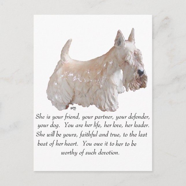 Postal Terrier Escocés Wheaten - PERRA (Anverso)