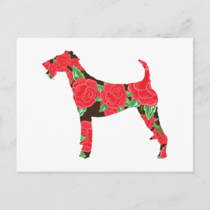 Postal Terrier irlandés