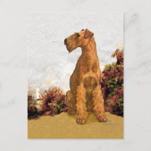 Postal Terrier Irlandés en la Costa